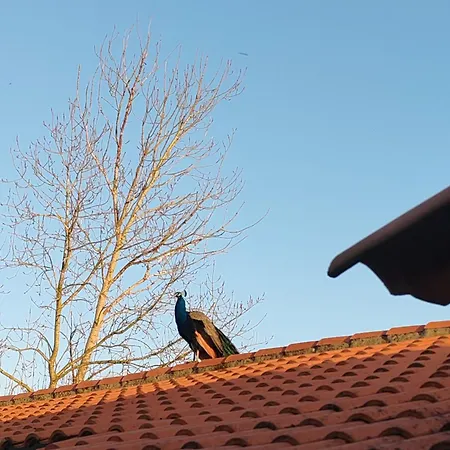 Prázdninový dům Rustique Dans Le Marais Breton Vendeen, Proche Plages - Fr-1-426-575