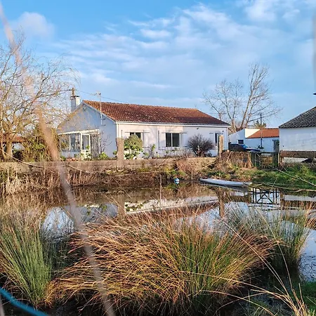 Rustique Dans Le Marais Breton Vendeen, Proche Plages - Fr-1-426-575 *
