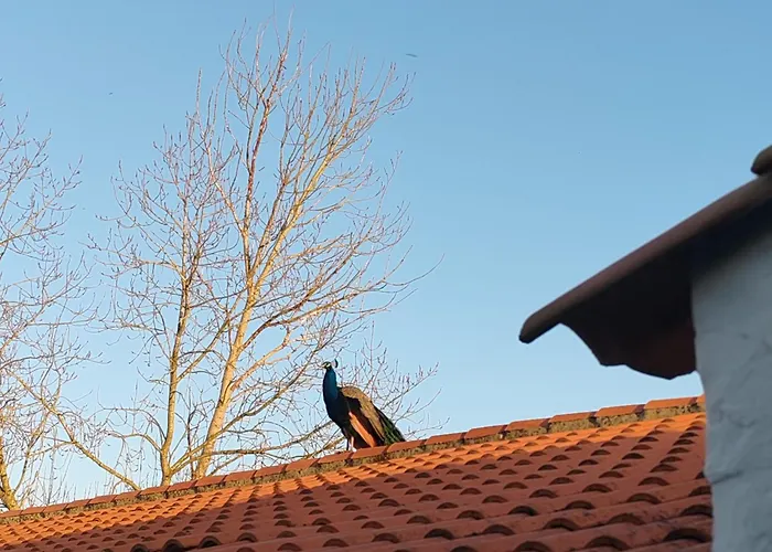 Сasa de vacaciones Rustique Dans Le Marais Breton Vendéen, Proche Plages - Fr-1-426-575